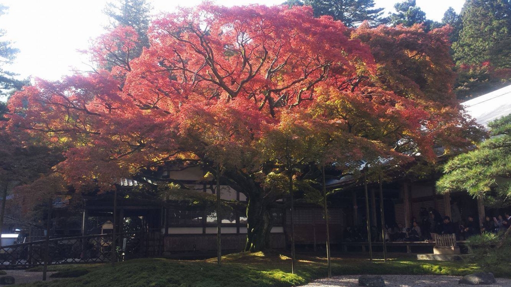 f:id:motohashiheisuke:20161112221639j:plain f:id:motohashiheisuke:20161112221639j:plain