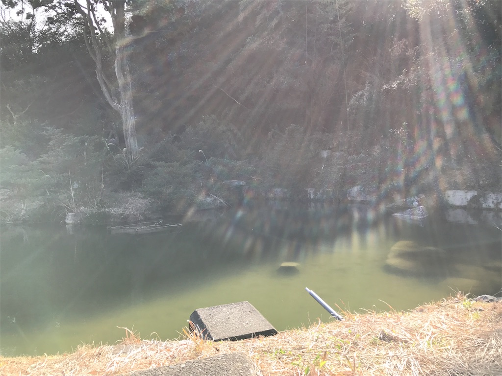 f:id:motohashiheisuke:20170111203828j:plain f:id:motohashiheisuke:20170111203828j:plain