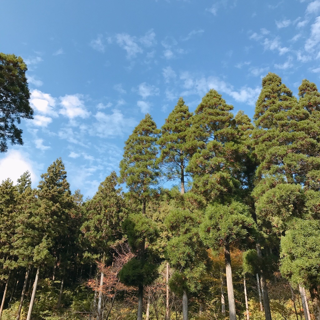 f:id:motohashiheisuke:20171105142115j:plain f:id:motohashiheisuke:20171105142115j:plain