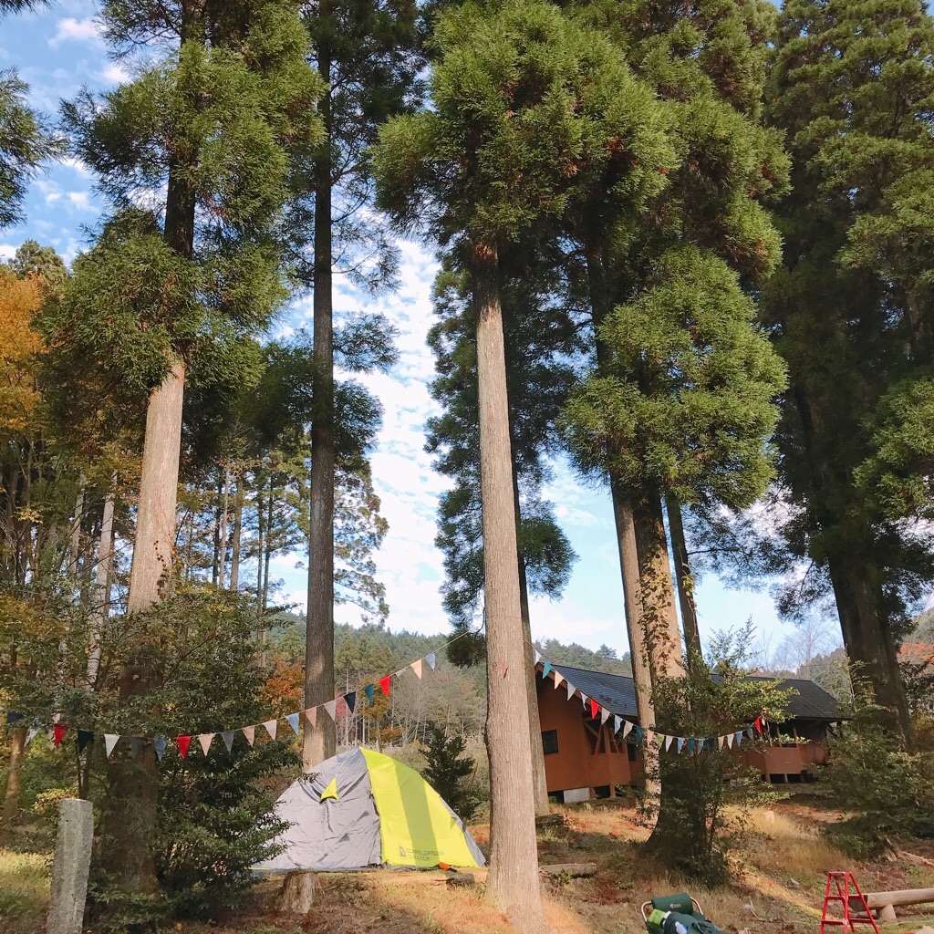 f:id:motohashiheisuke:20171105142216j:plain f:id:motohashiheisuke:20171105142216j:plain