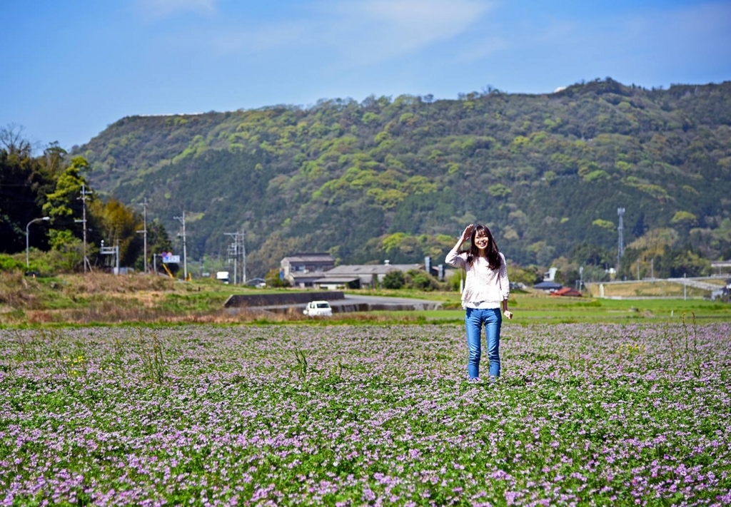 f:id:motohashiheisuke:20180608125930j:plain