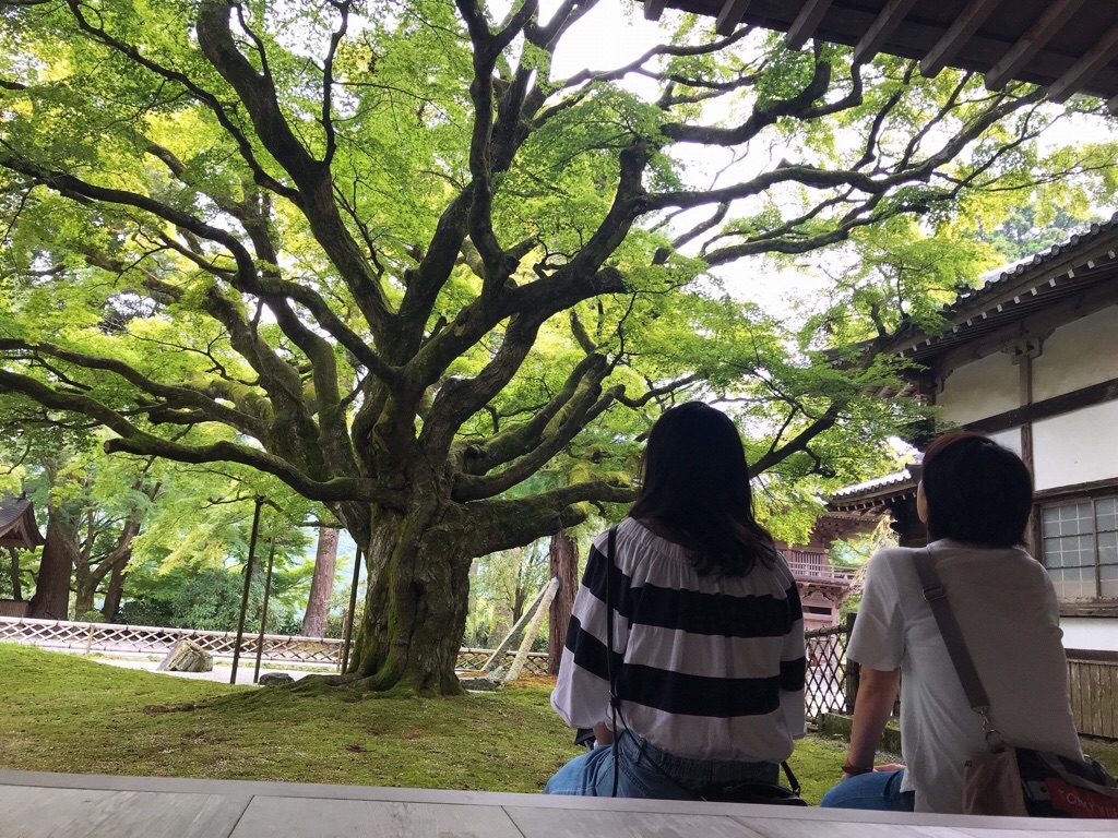 f:id:motohashiheisuke:20180919201803j:plain