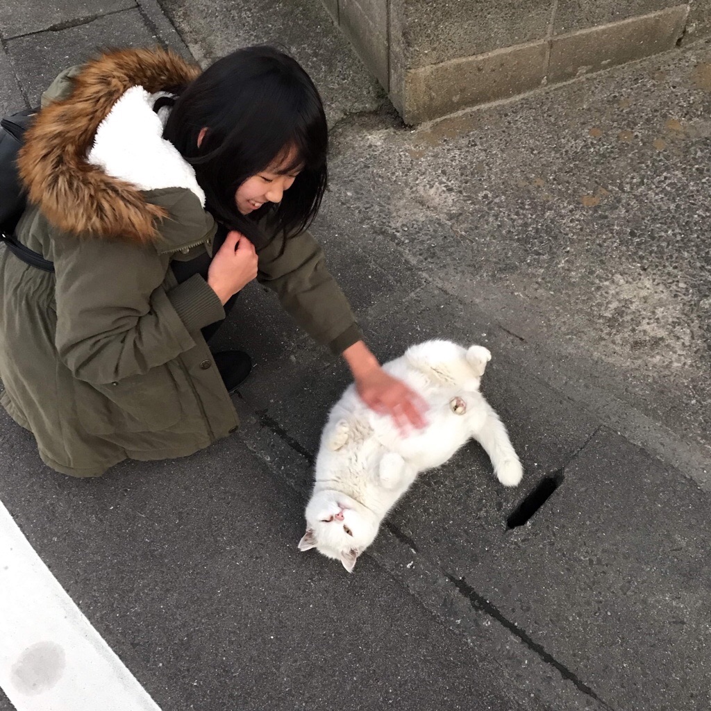 f:id:motohashiheisuke:20190508162526j:plain f:id:motohashiheisuke:20190508162526j:plain