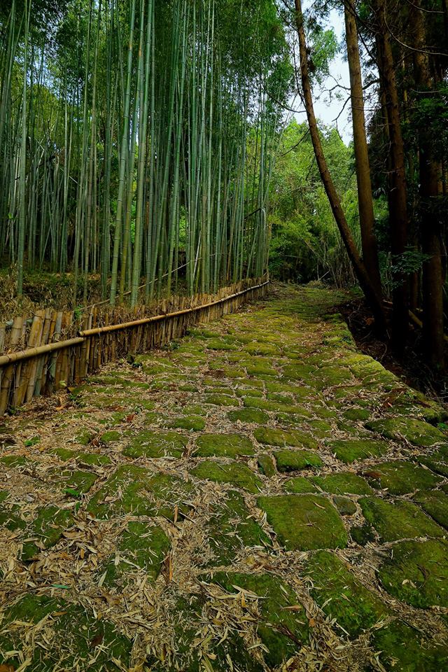 f:id:motohj:20180723160642j:plain