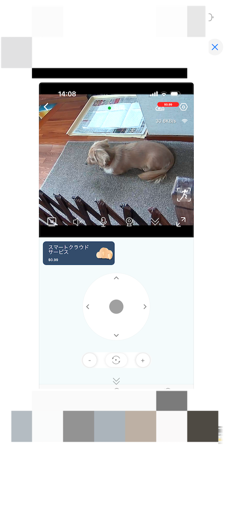 f:id:motokanae861969:20250101141523p:image