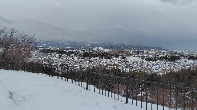 f:id:motokendoing:20250218181748j:image f:id:motokendoing:20250218181748j:image