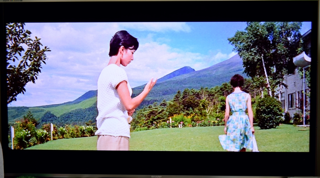 f:id:motolovelyboy:20170131124928j:plain