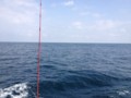 20120320113423