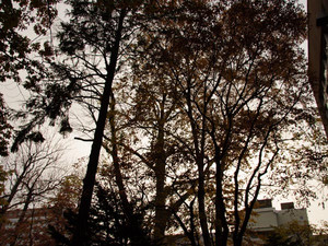 f:id:motomachi24:20041031170411:image