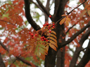 f:id:motomachi24:20041031170421:image