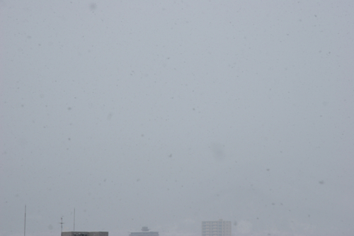 f:id:motomachi24:20100219082815j:image