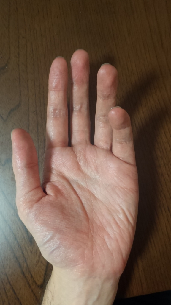 f:id:motomichi_works:20171201200504j:plain f:id:motomichi_works:20171201200504j:plain