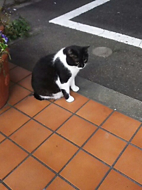f:id:motonari1:20190202044615j:image f:id:motonari1:20190202044615j:image