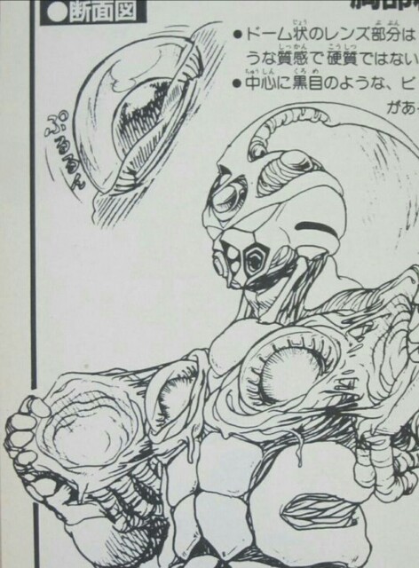 ドルチェノフという名前の猫 4 絵と猫とぐだぐだ 髙木元就