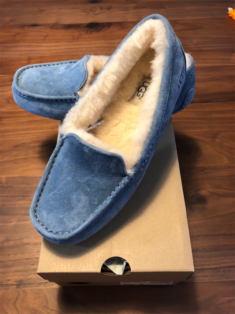 f:id:motonurse:20191203173316j:image