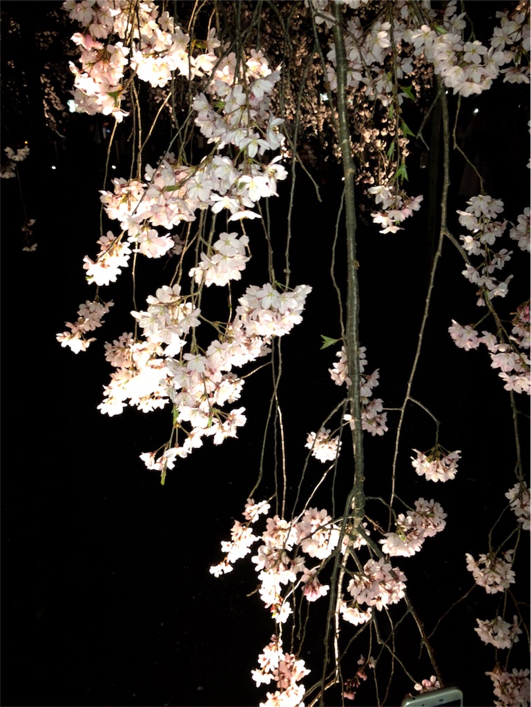 f:id:motoshidaa:20180403134755j:image f:id:motoshidaa:20180403134755j:image