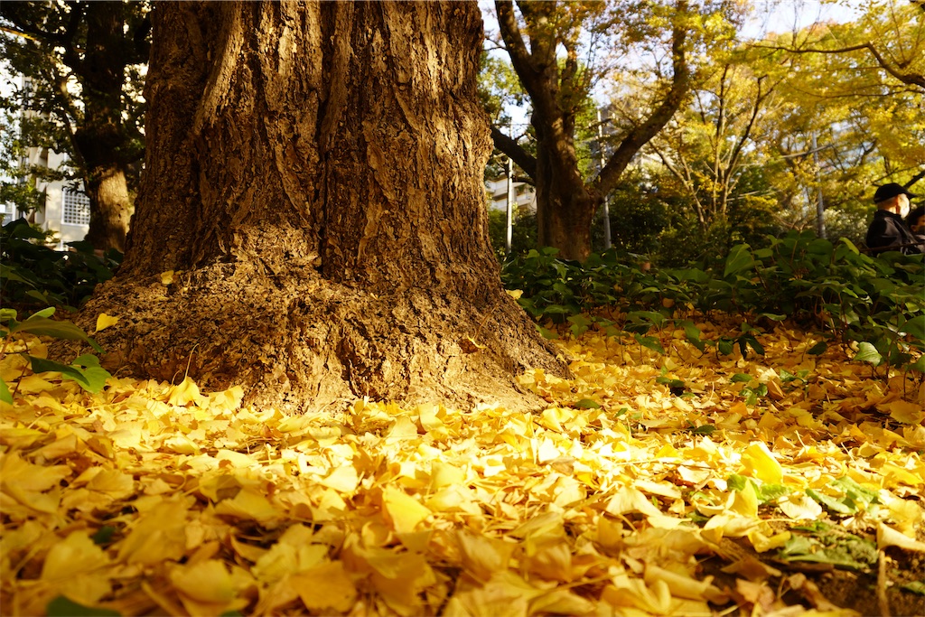 f:id:motoshidaa:20221120000740j:image