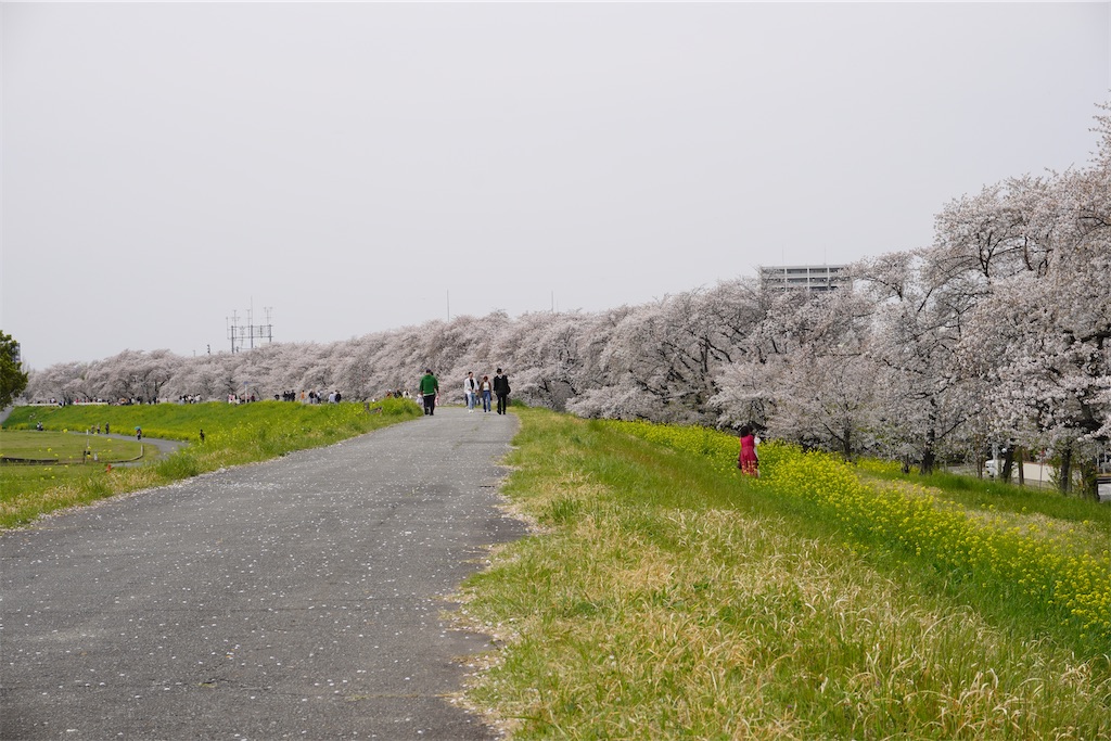 f:id:motoshidaa:20240415111922j:image