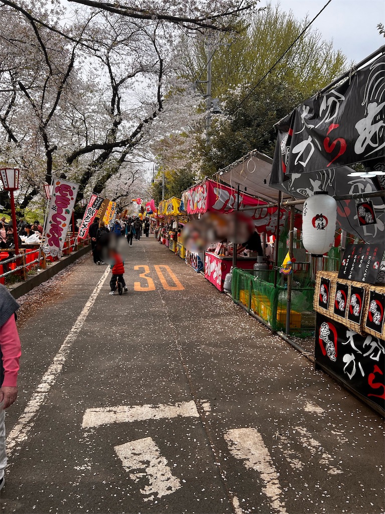 f:id:motoshidaa:20240415114602j:image