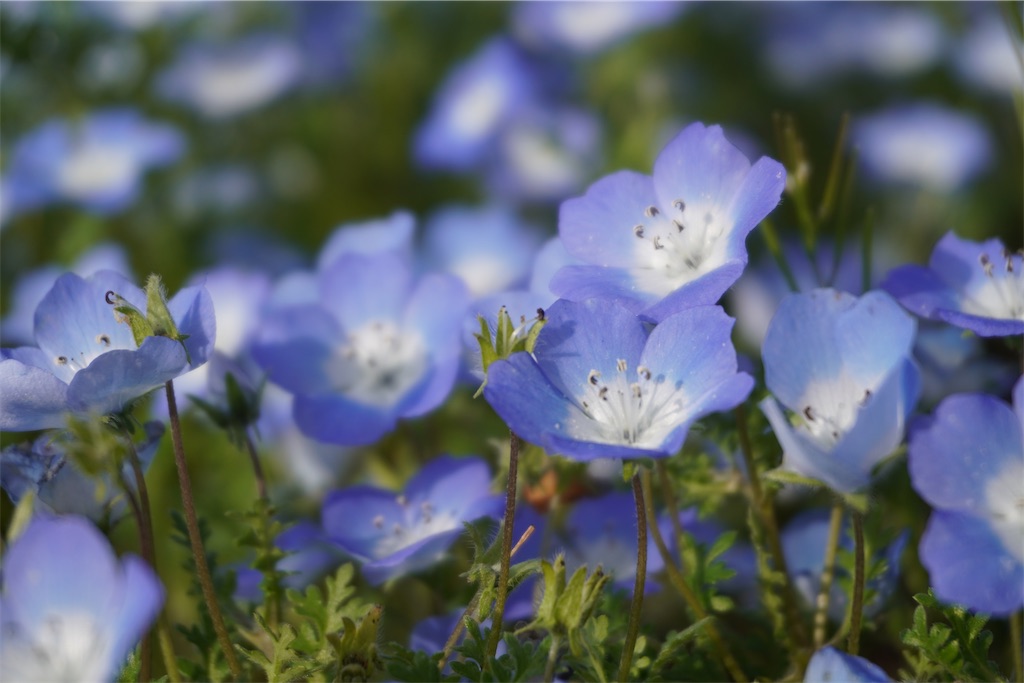 f:id:motoshidaa:20240418165716j:image