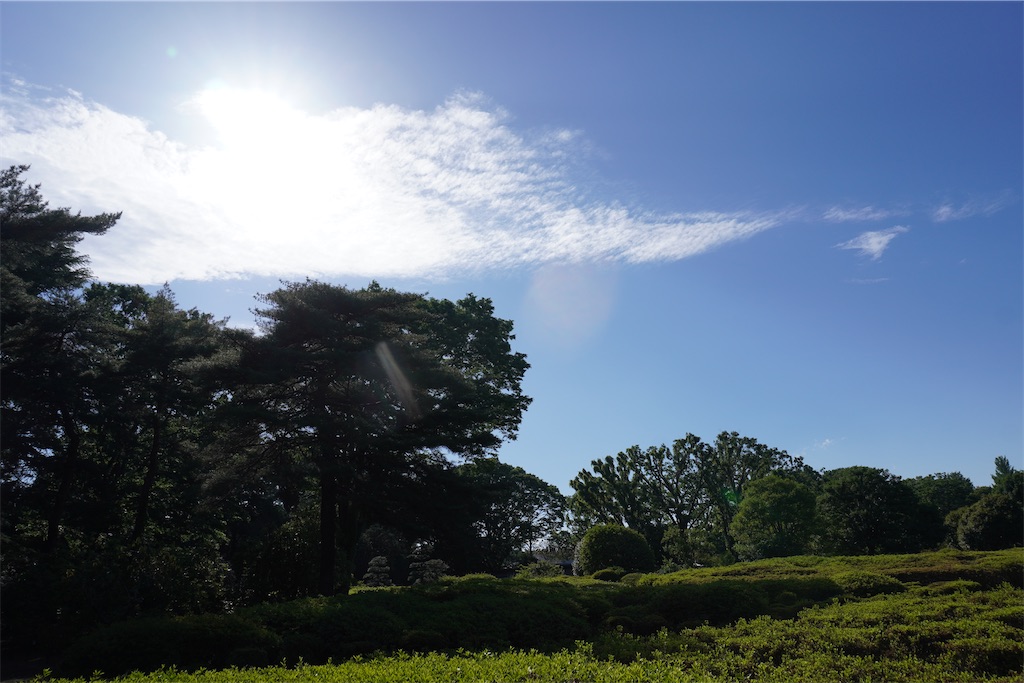 f:id:motoshidaa:20240520234258j:image