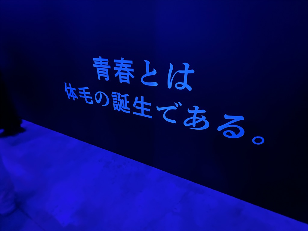 f:id:motoshidaa:20240523204459j:image