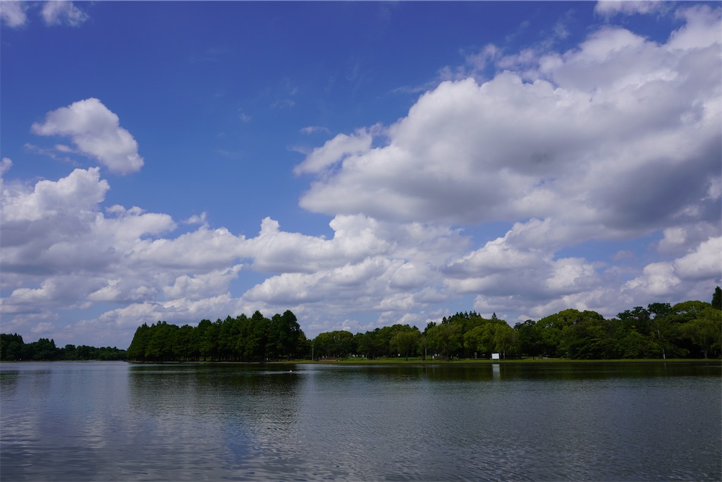 f:id:motoshidaa:20240604181429j:image