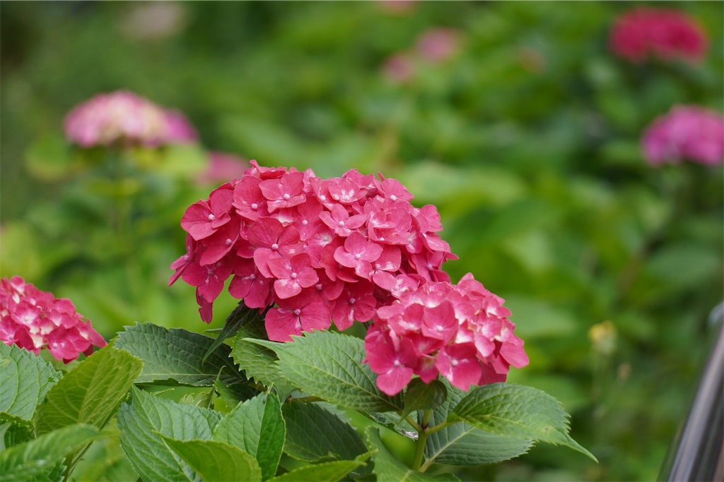 f:id:motoshidaa:20240604181438j:image