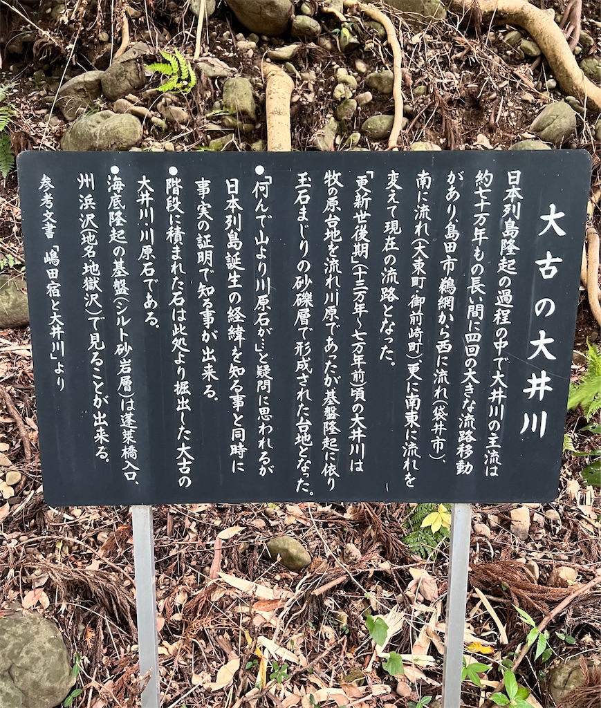 f:id:motoshidaa:20240706145355j:image