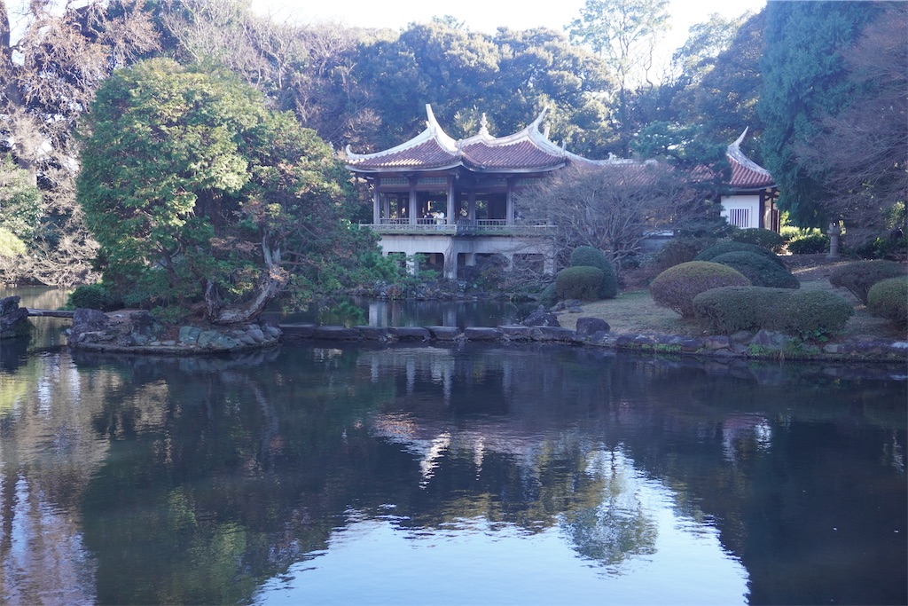 f:id:motoshidaa:20250117194300j:image