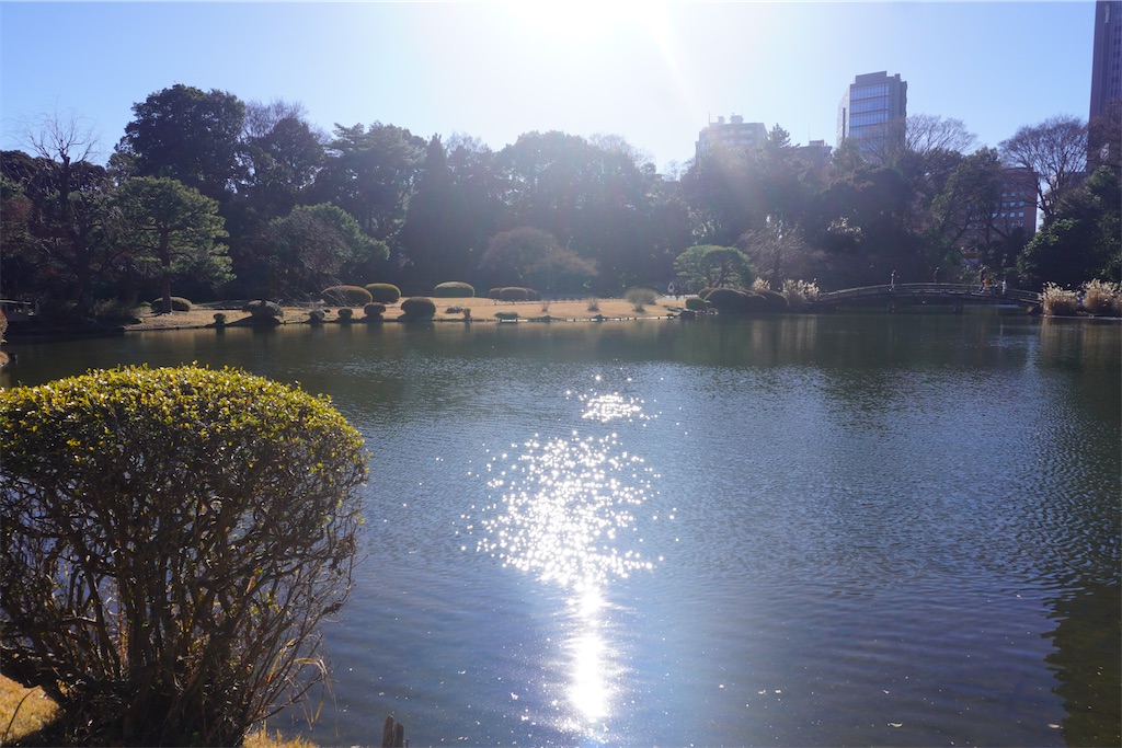 f:id:motoshidaa:20250117200403j:image