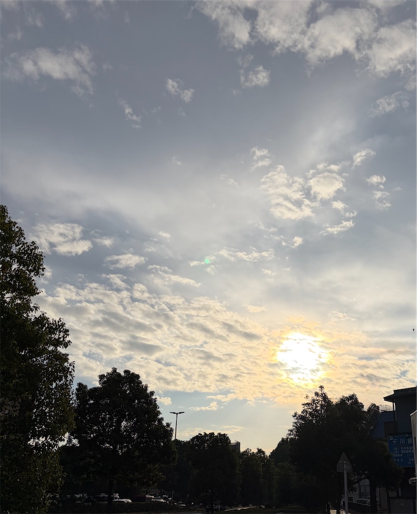 f:id:motoshidaa:20251031225832j:image