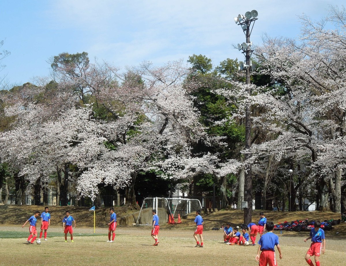 f:id:motoski2007:20190405132425j:plain f:id:motoski2007:20190405132425j:plain