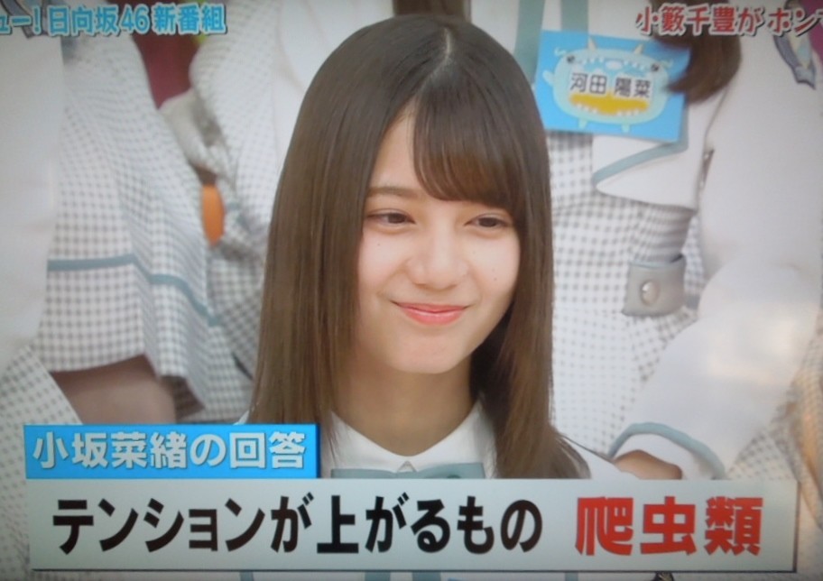 f:id:motoski2007:20190416123220j:plain f:id:motoski2007:20190416123220j:plain