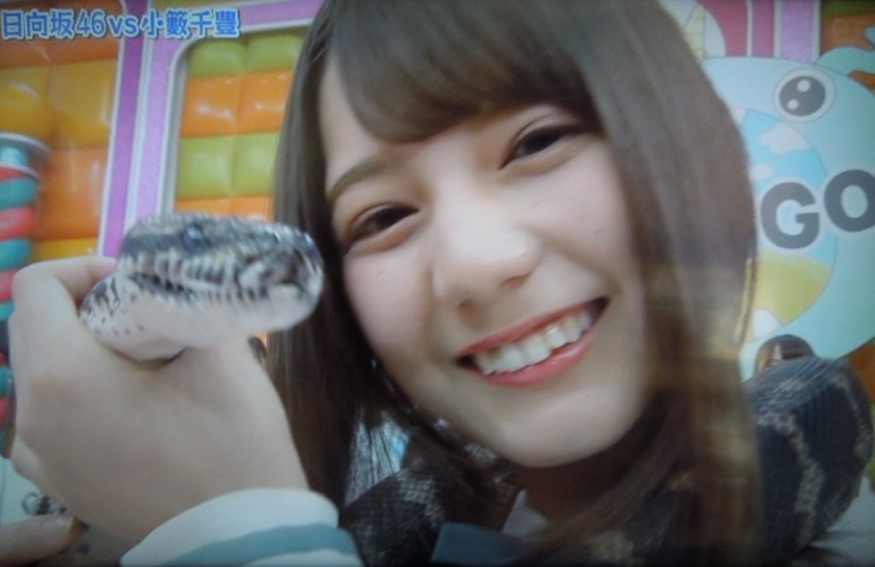 f:id:motoski2007:20190416123334j:plain f:id:motoski2007:20190416123334j:plain