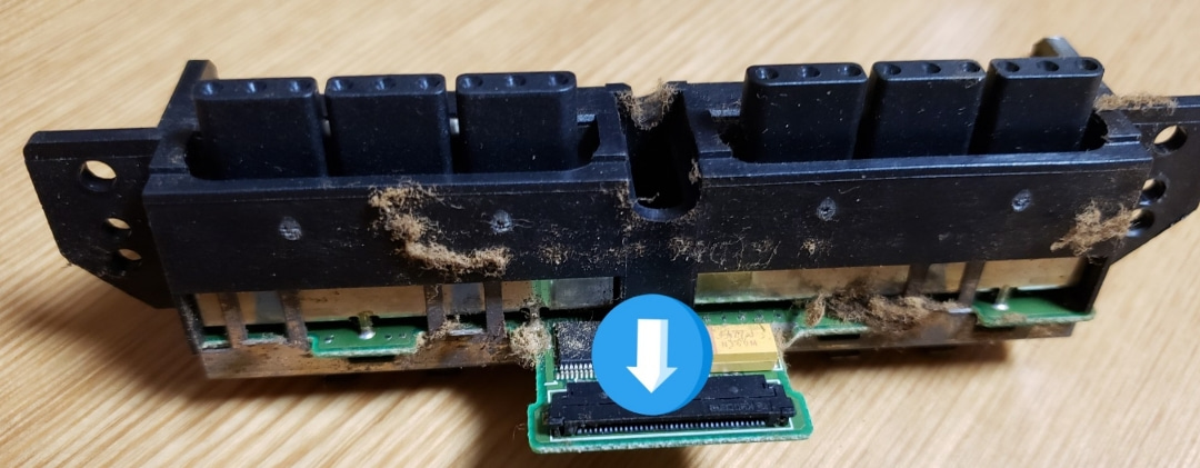 f:id:mototsuma:20211204192138j:plain