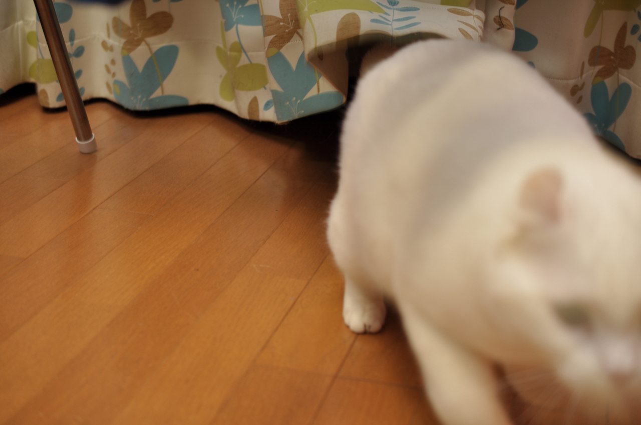 f:id:motou4:20111124193444j:image f:id:motou4:20111124193444j:image