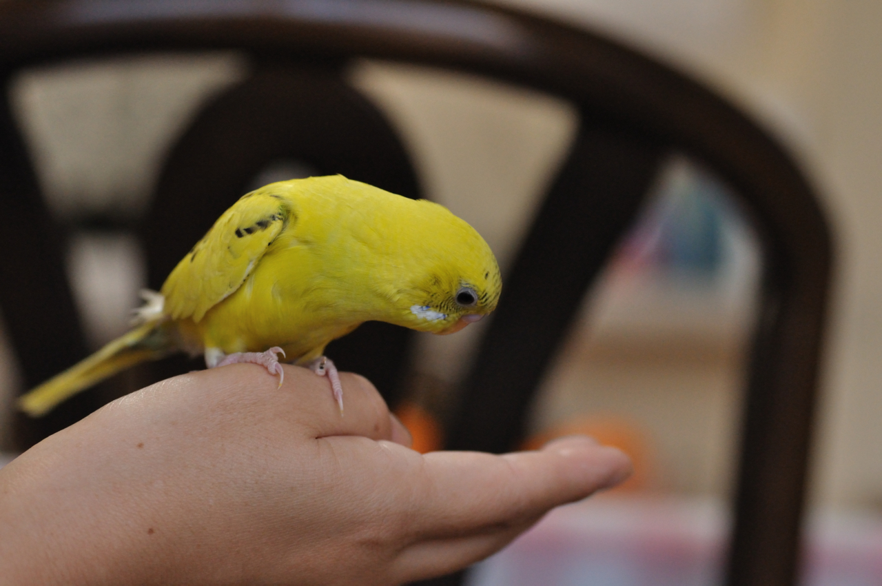 f:id:motou4:20120107155340j:image f:id:motou4:20120107155340j:image