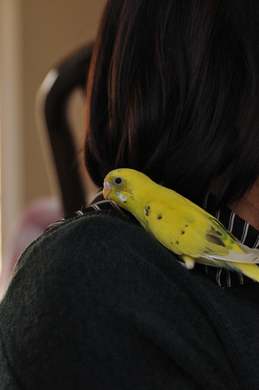 f:id:motou4:20120107155432j:image f:id:motou4:20120107155432j:image