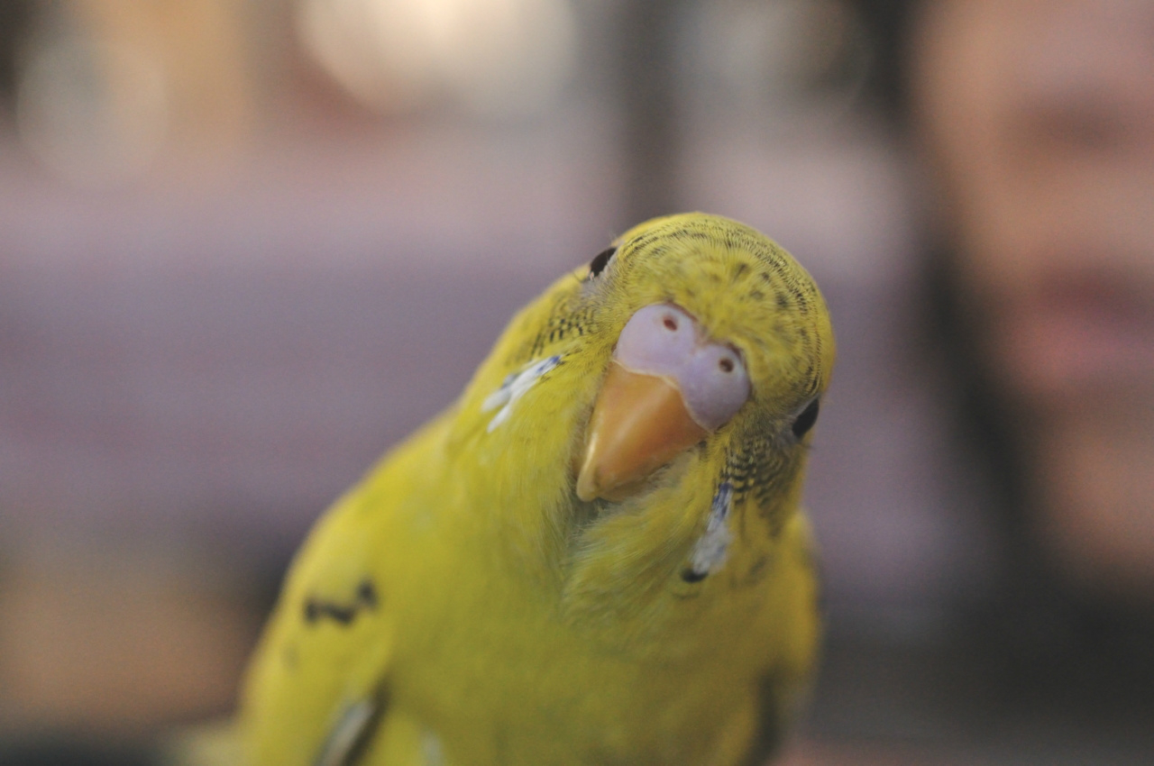 f:id:motou4:20120107155622j:image f:id:motou4:20120107155622j:image