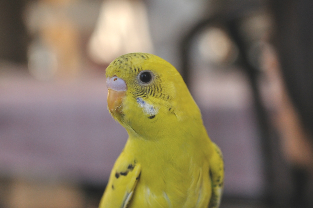 f:id:motou4:20120107155629j:image f:id:motou4:20120107155629j:image