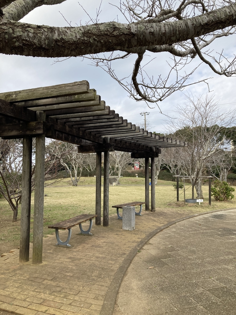f:id:motsu_shichimi:20211123191517j:plain