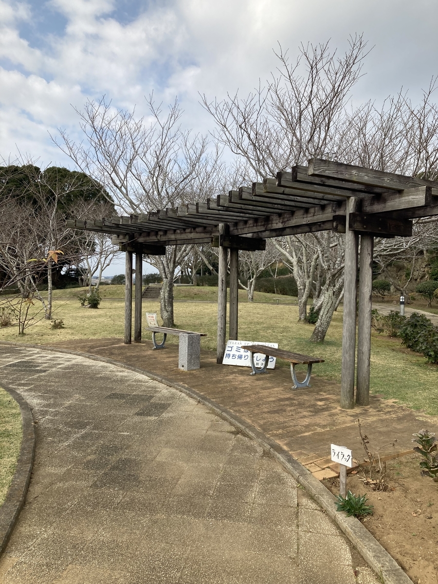 f:id:motsu_shichimi:20211123191537j:plain