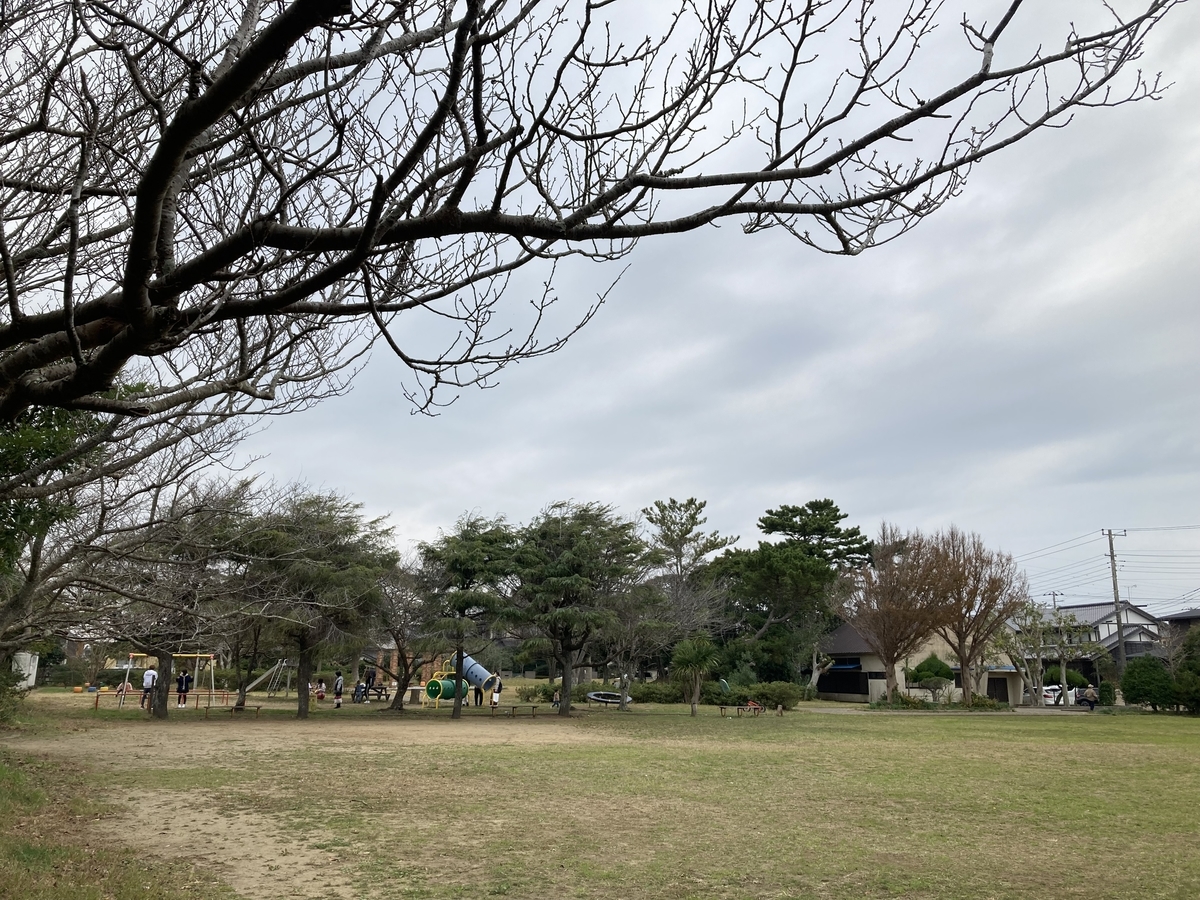 f:id:motsu_shichimi:20211123213456j:plain