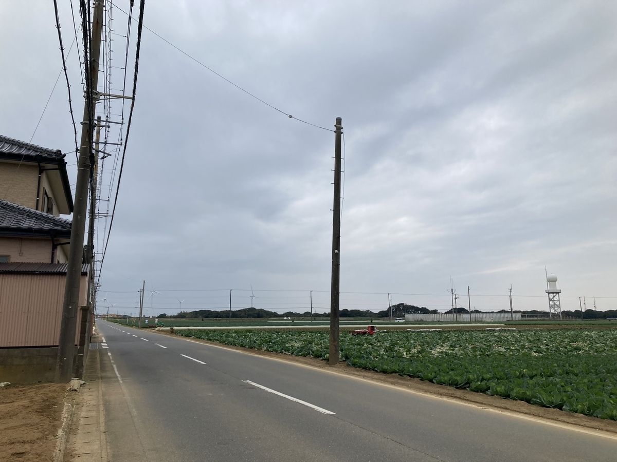 f:id:motsu_shichimi:20211123223128j:plain