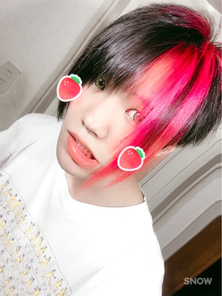 f:id:motsutaso:20170701154343j:image