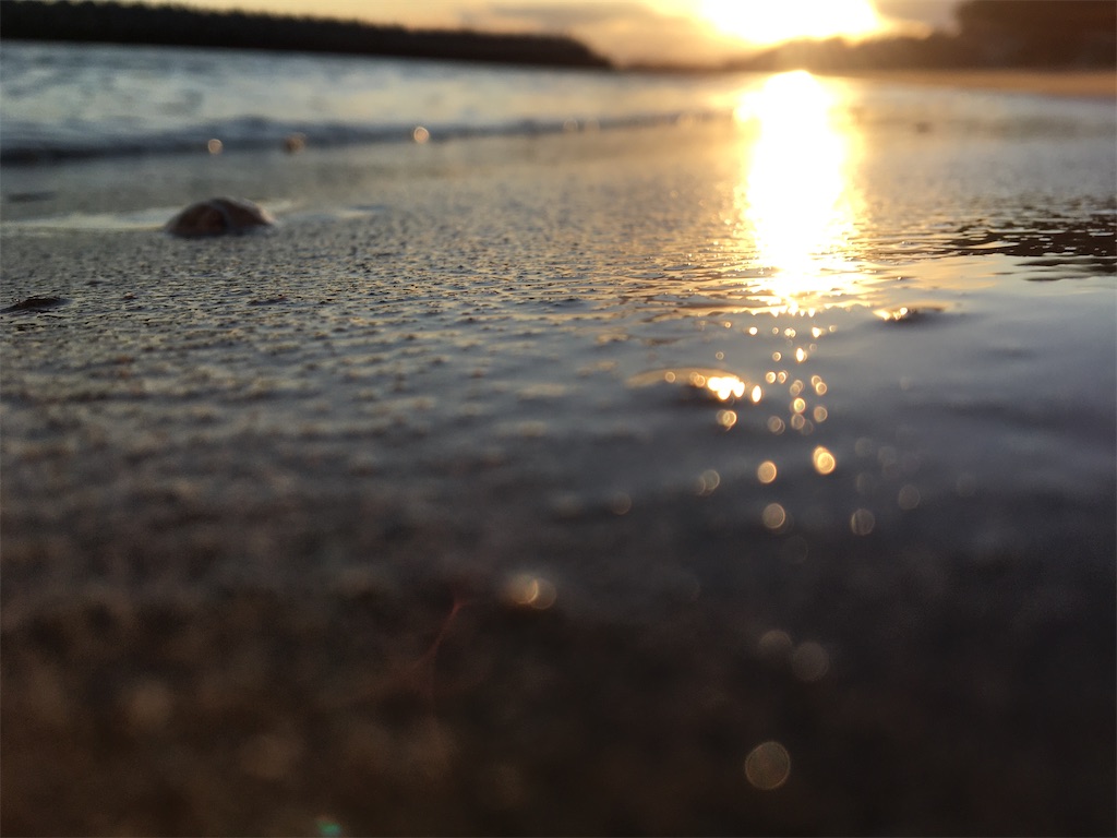 f:id:mottanse1203:20200303224954j:image