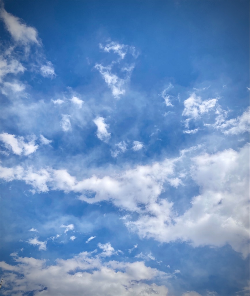 f:id:mottchtt:20210219025309j:image
