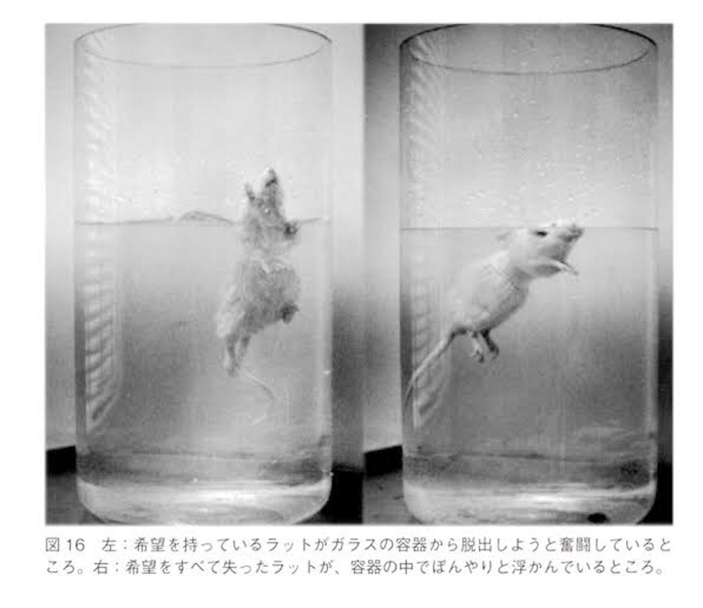 f:id:motterian:20191213111249j:image f:id:motterian:20191213111249j:image