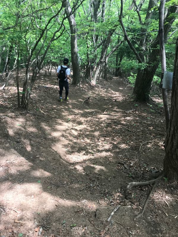 f:id:mottodekiru:20190615170356j:plain f:id:mottodekiru:20190615170356j:plain